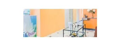 La imagen 6 de la Empresa YINYANG NATURE - ACUPUNTURA E HIGIENISMO Terapias Alternativas y Complementarias en Madrid M