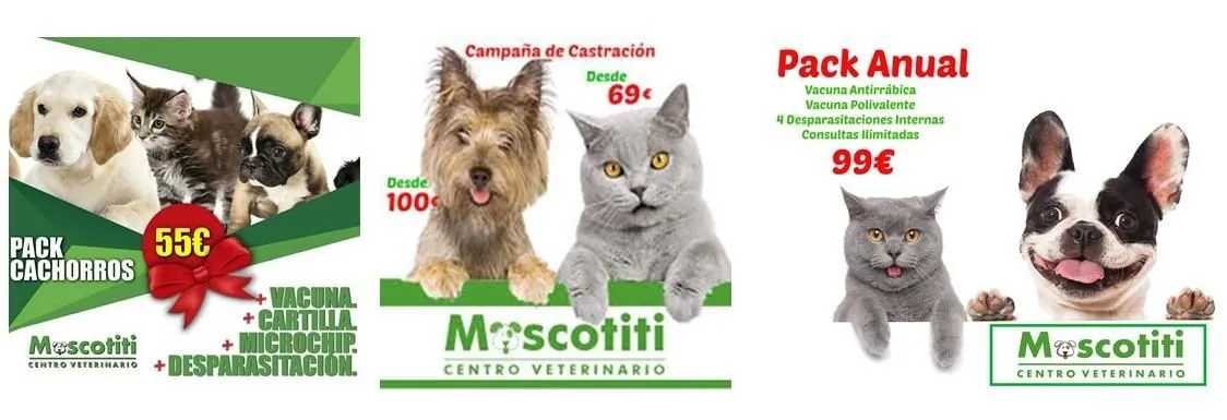 La imagen 4 de la Empresa MASCOTITI CLINICA VETERINARIA