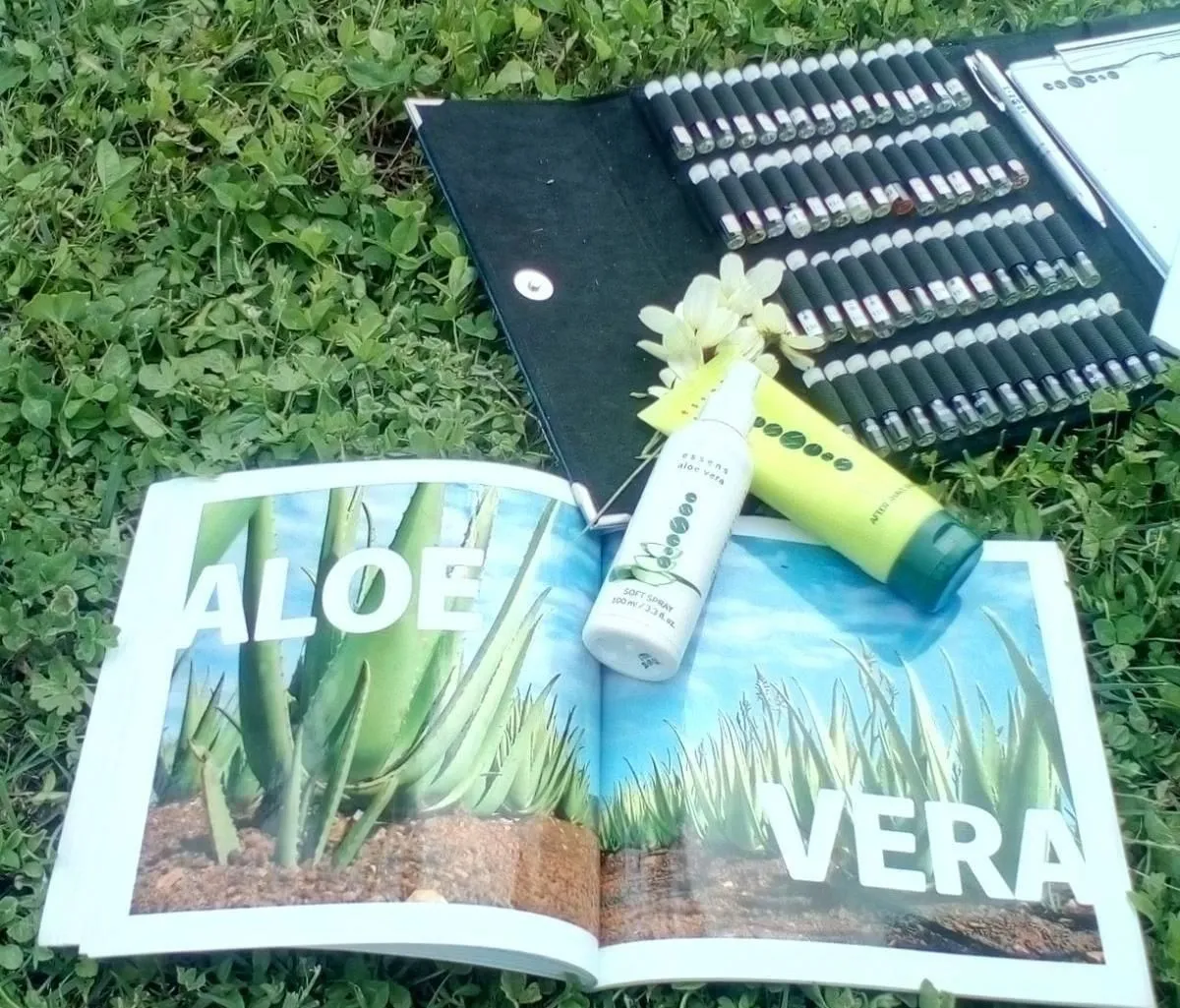 La imagen 14 de la Empresa ESSENS