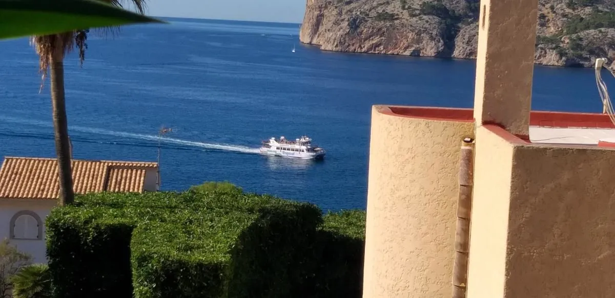 La imagen 3 de la Empresa JARDINES BALEAR