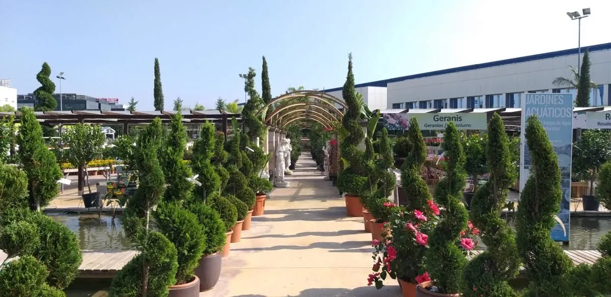 La imagen 10 de la Empresa JARDINES BALEAR