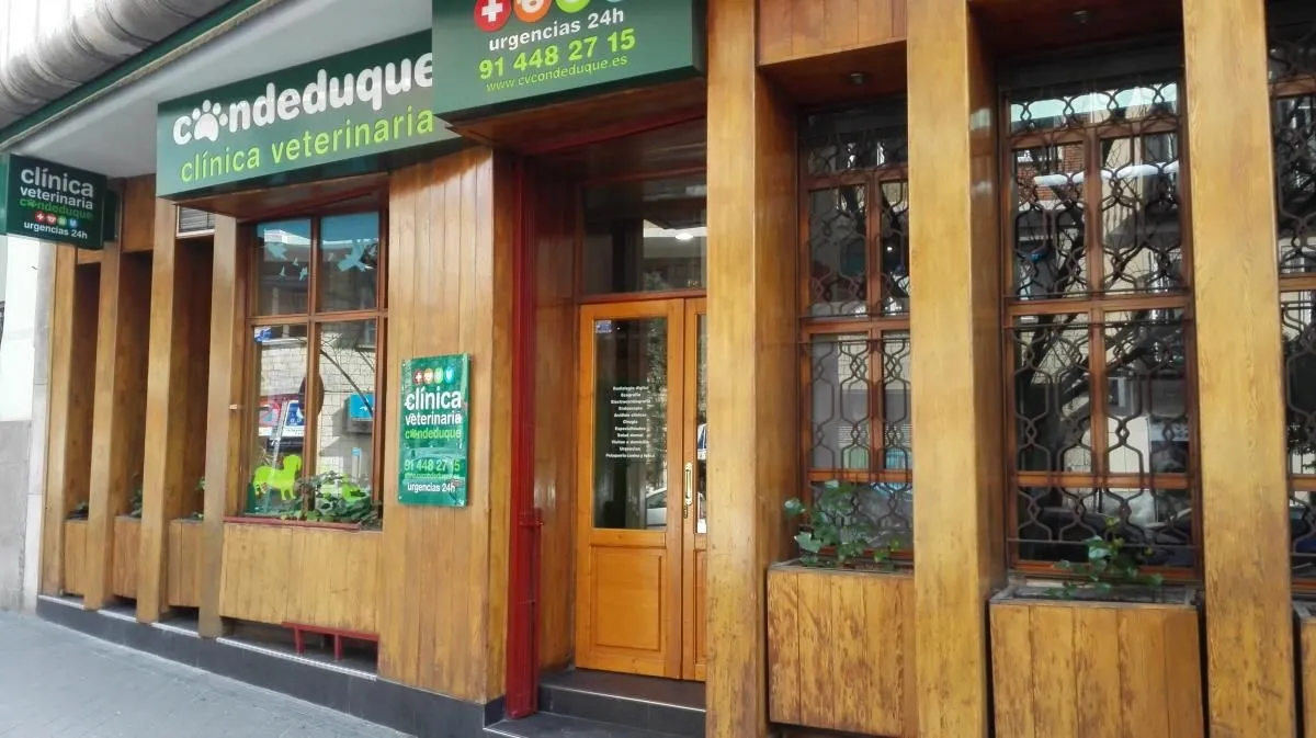 La imagen 3 de la Empresa CLÍNICA VETERINARIA CONDE DUQUE