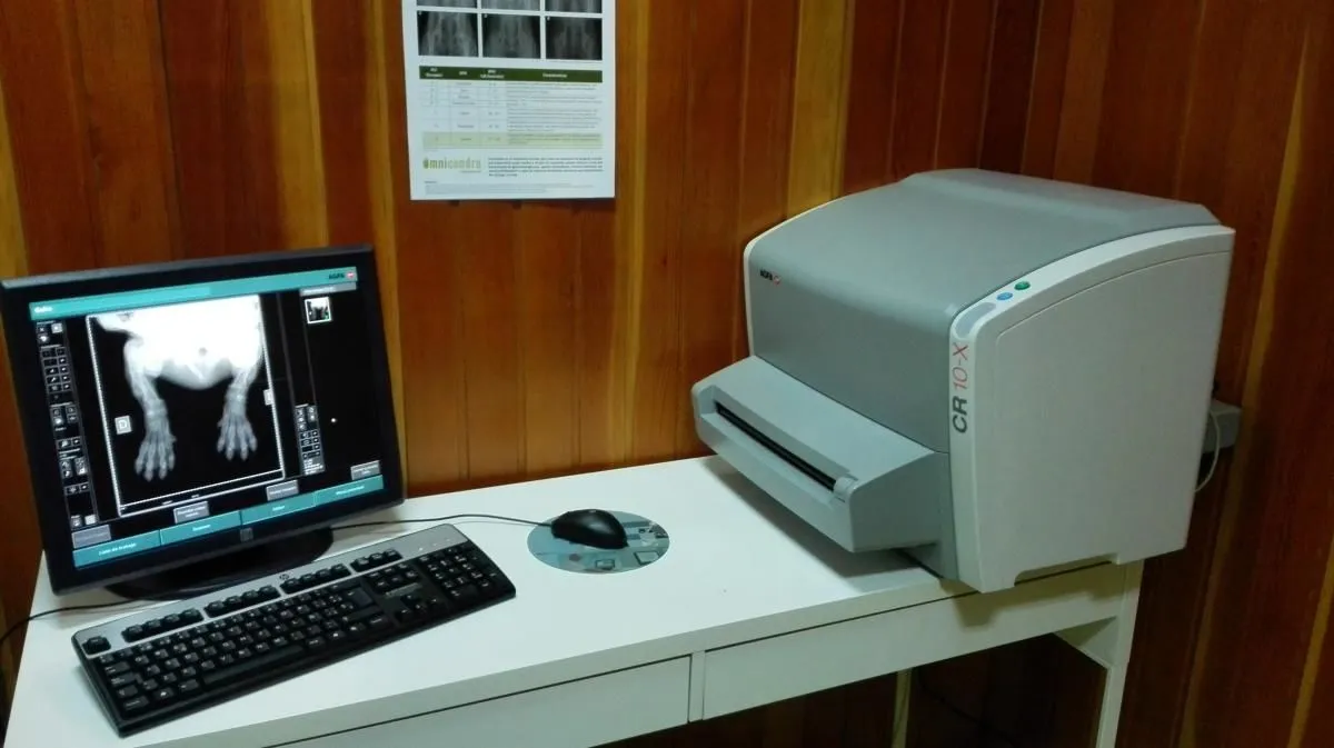 La imagen 5 de la Empresa CLÍNICA VETERINARIA CONDE DUQUE