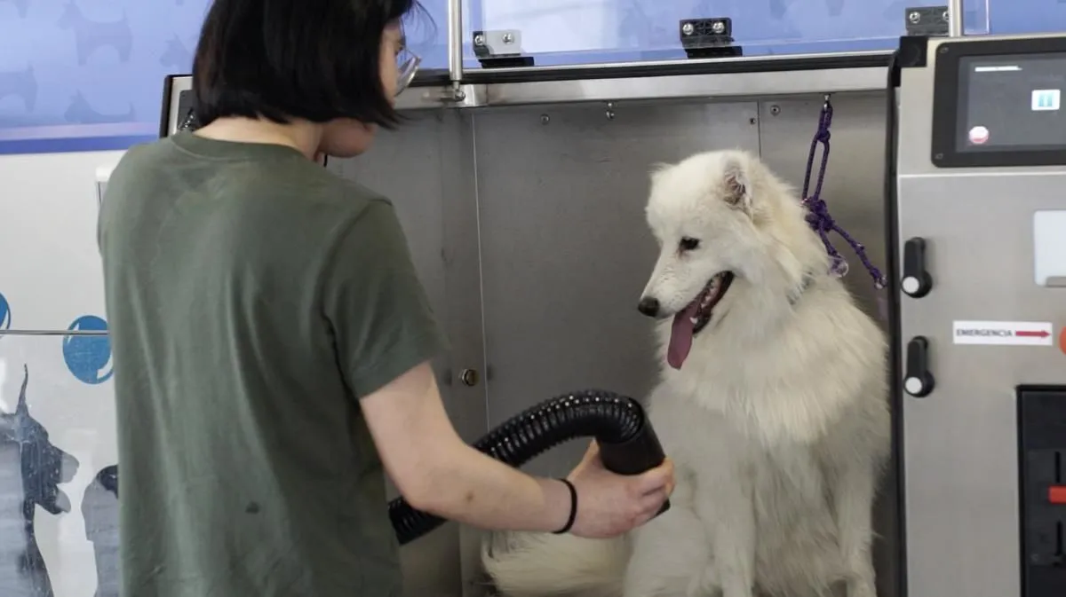 La imagen 8 de la Empresa LAVAKAN