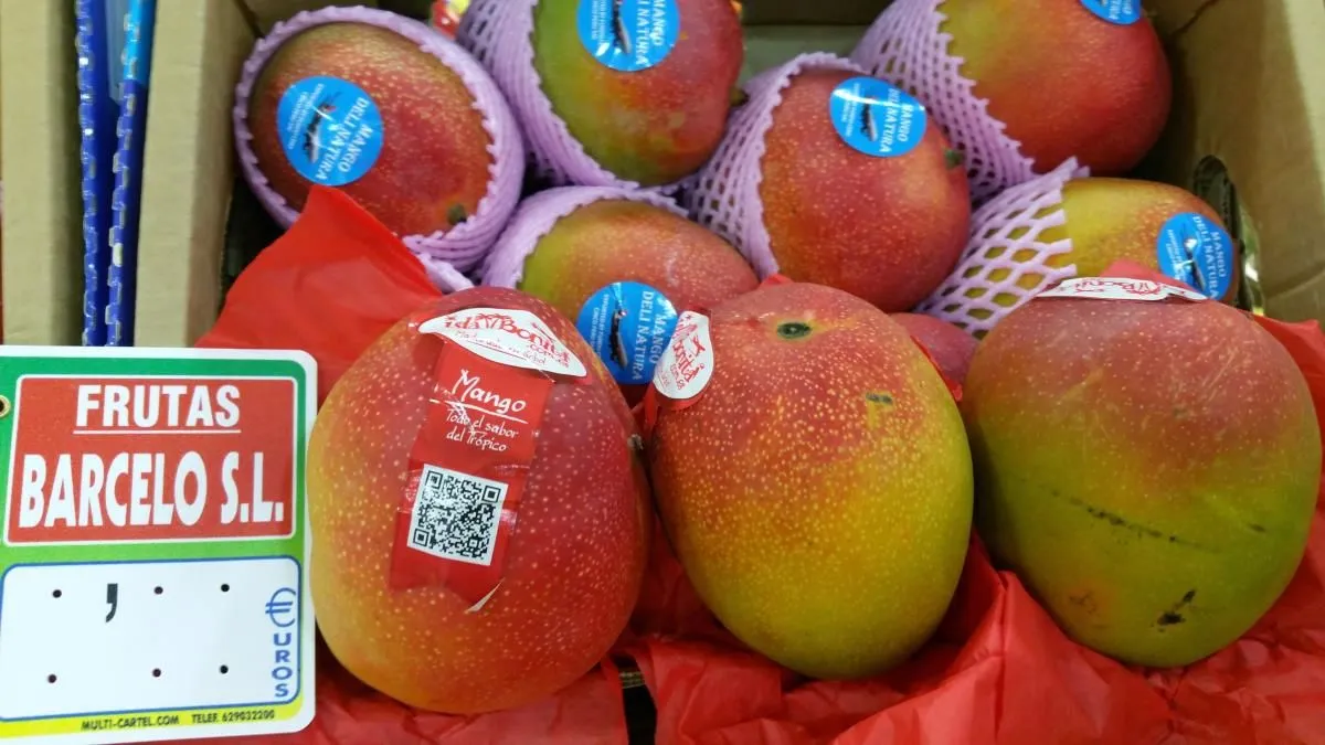 La imagen 4 de la Empresa FRUTAS BARCELO