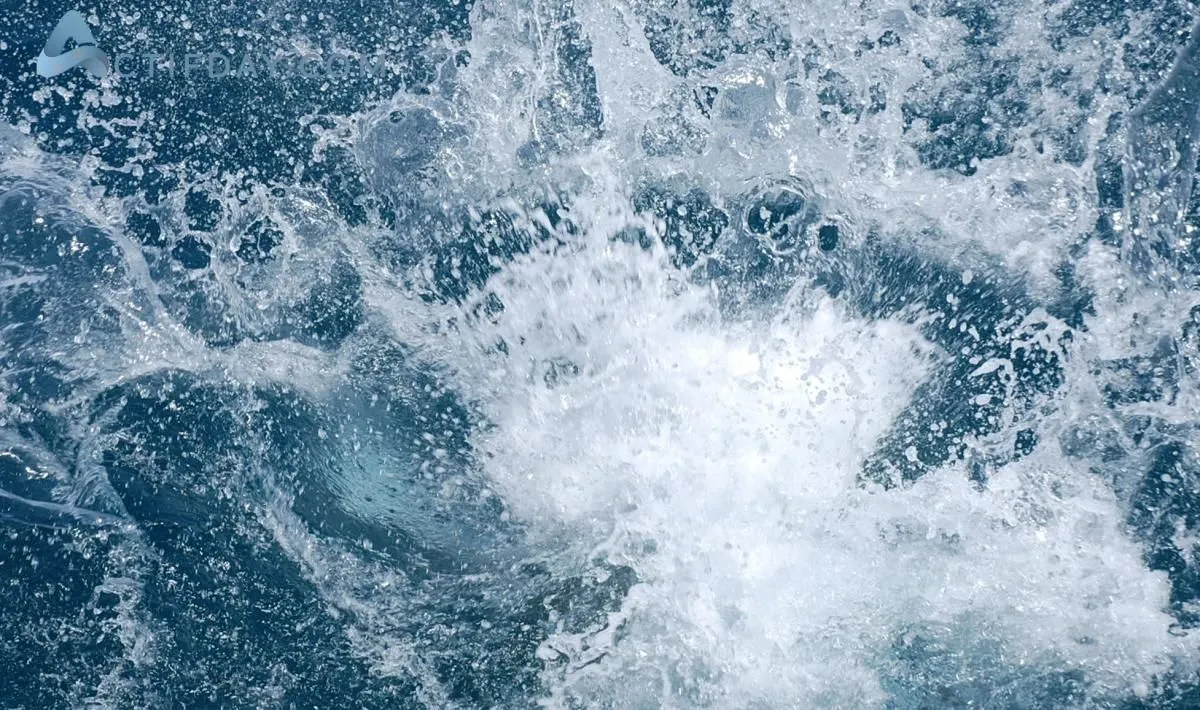 La imagen 9 de la Empresa PAPILLON YACHT SERVICES SL.