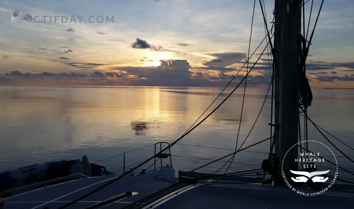 La imagen 13 de la Empresa PAPILLON YACHT SERVICES SL.