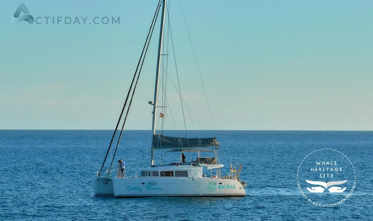 La imagen 14 de la Empresa PAPILLON YACHT SERVICES SL.