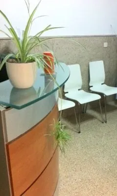 La imagen 1 de la Empresa PODOGRANDE