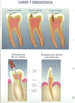 La imagen 4 de la Empresa CLINICA DENTAL CLI-DEN