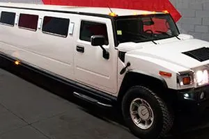 La imagen 3 de la Empresa DESPEDIDAS DE SOLTERO MOLA MOLA