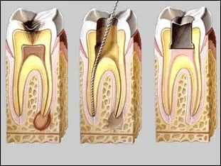 La imagen 4 de la Empresa FIRST DENTAL