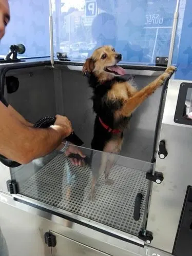 La imagen 2 de la Empresa LAVAKAN