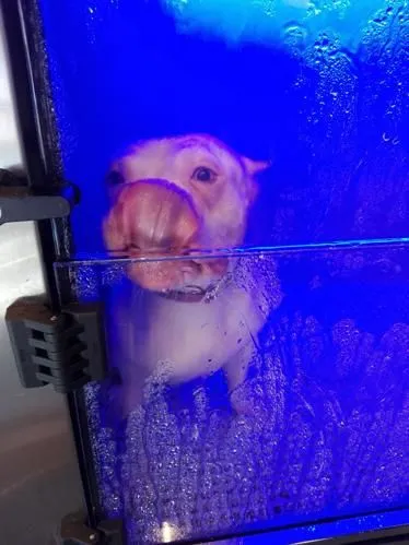 La imagen 4 de la Empresa LAVAKAN