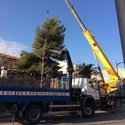 La imagen 1 de la Empresa GRUAS JALDO S.L.