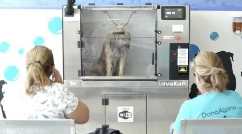 La imagen 10 de la Empresa LAVAKAN