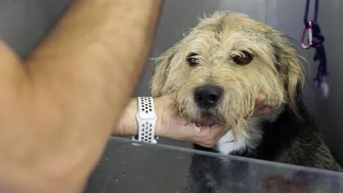 La imagen 9 de la Empresa LAVAKAN