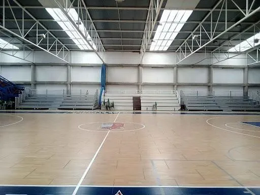 La imagen 21 de la Empresa DECAN SPORTS EQUIPMENT S.L.