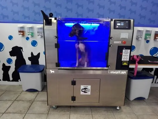 La imagen 5 de la Empresa LAVAKAN