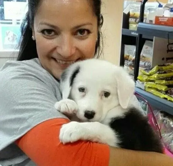 La imagen 3 de la Empresa MASCOTITI CLINICA VETERINARIA