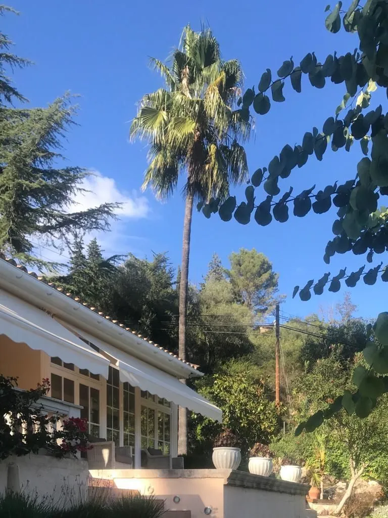 La imagen 5 de la Empresa JARDINES BALEAR