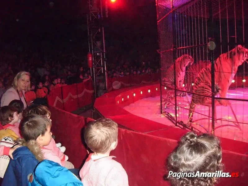 La imagen 8 de la Empresa ESCUELA INFANTIL BILINGÜE CENTRO VIDA