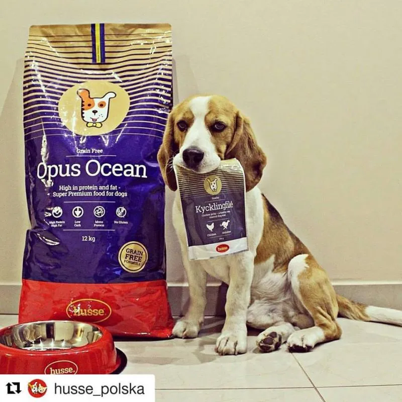 La imagen 7 de la Empresa HUSSE