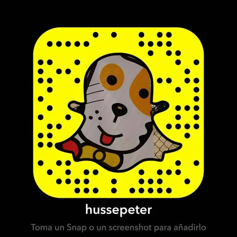 La imagen 1 de la Empresa HUSSE