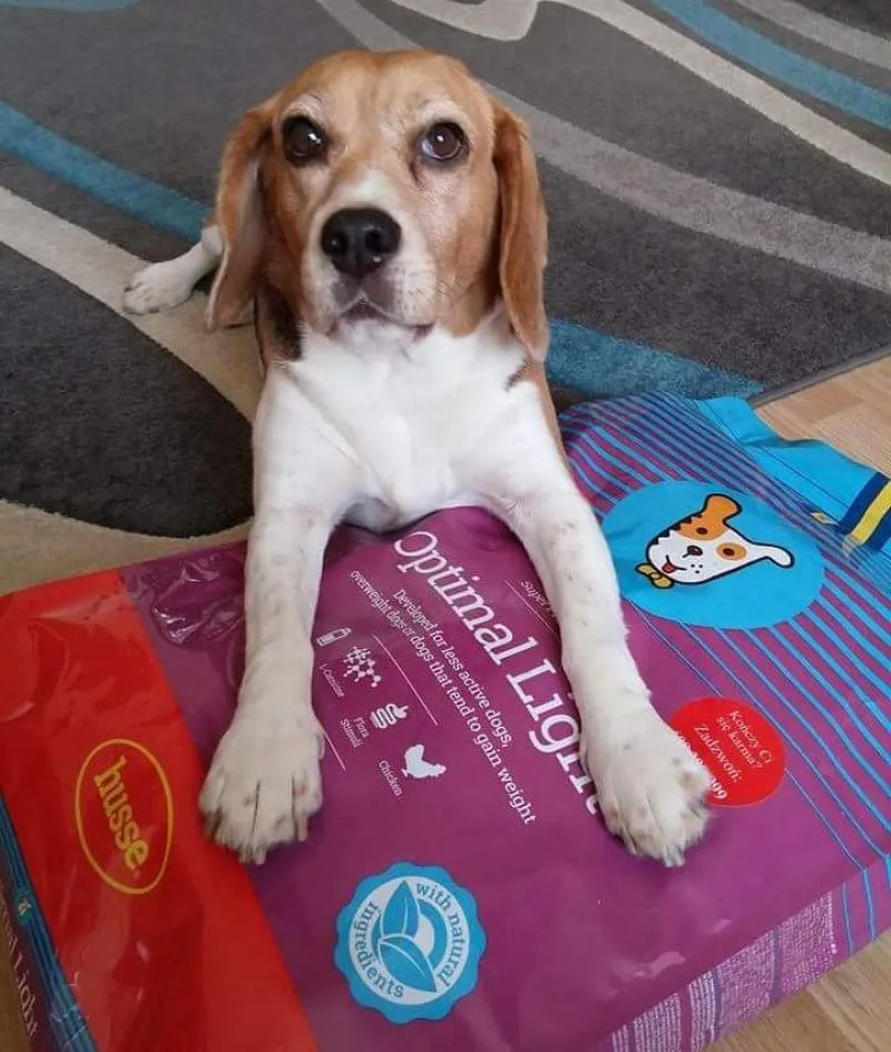 La imagen 6 de la Empresa HUSSE