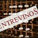 ENTREVINOS Transportes y Turismo en Madrid M