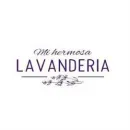 MI HERMOSA LAVANDERÍA Servicios Profesionales y de Negocios en Alicante A