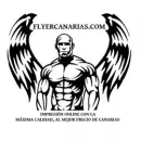 FLYER CANARIAS Servicios Profesionales y de Negocios en Telde GC
