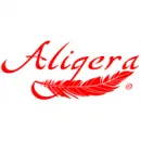 ALIGERA ESPAÑA Posicionamiento Web en Madrid M