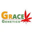 GRACE GENETICS SL Proveedor de Semillas en Barcelona B