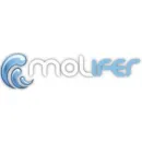 MOLIFER CENTRO ESPECIAL DE EMPLEO S.L. Servicios y Equipos de Limpieza en Colmenar MA