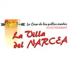 VILLA DEL NARCEA