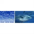 ICCAT