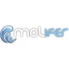 MOLIFER CENTRO ESPECIAL DE EMPLEO S.L.