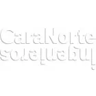 CARANORTE INGENIEROS