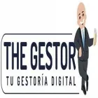 THE GESTOR