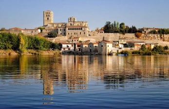 Zamora